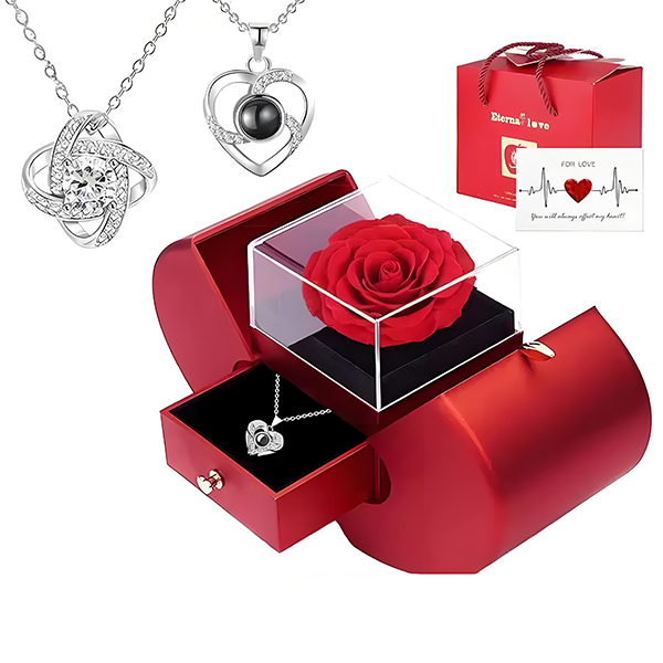 Jewelry Necklace